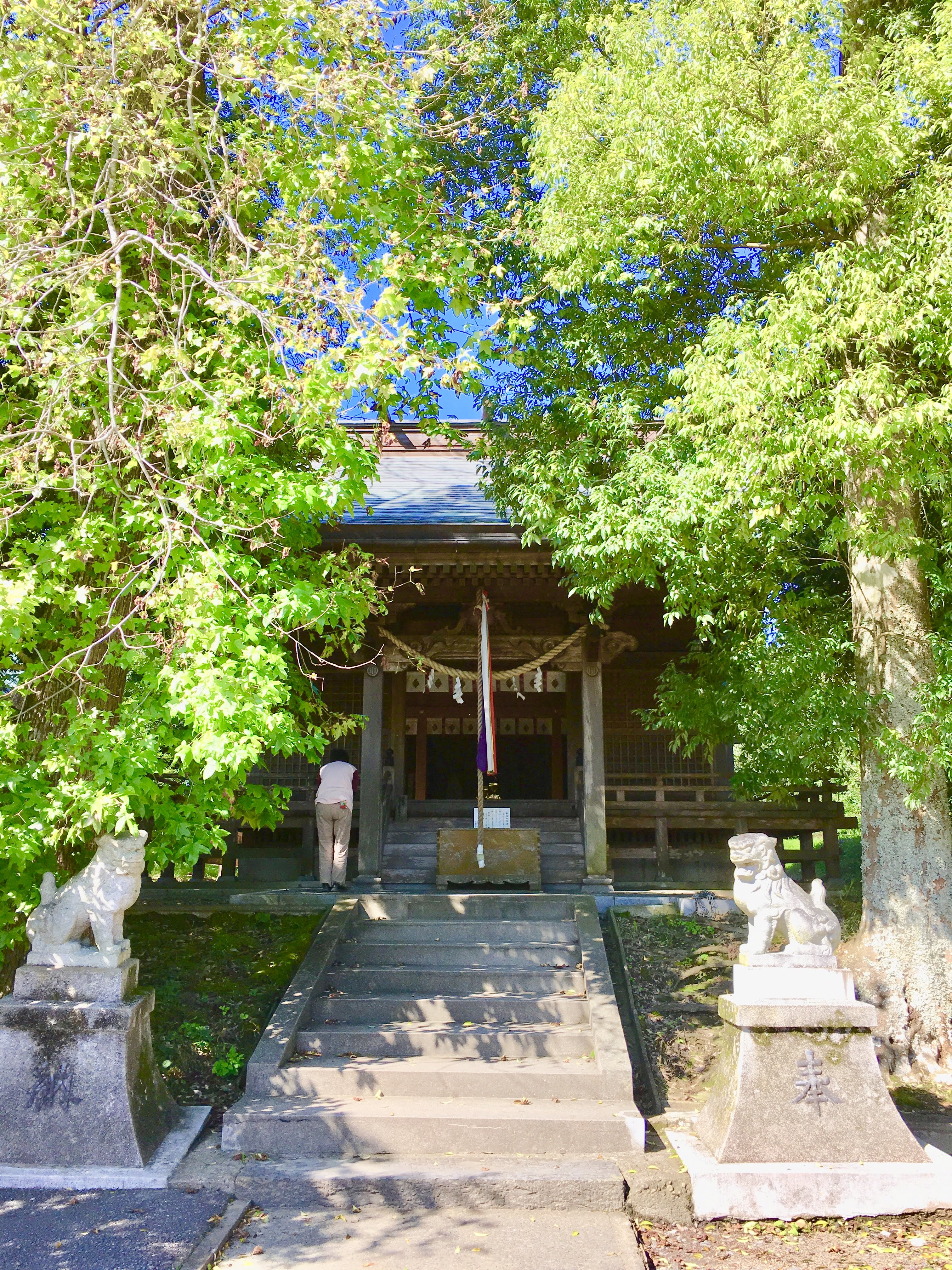 Guardian lion-dogs on the approach to the shrine